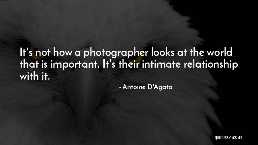 Orro Quotes By Antoine D'Agata Orro Quotes By Antoine D'Agata
