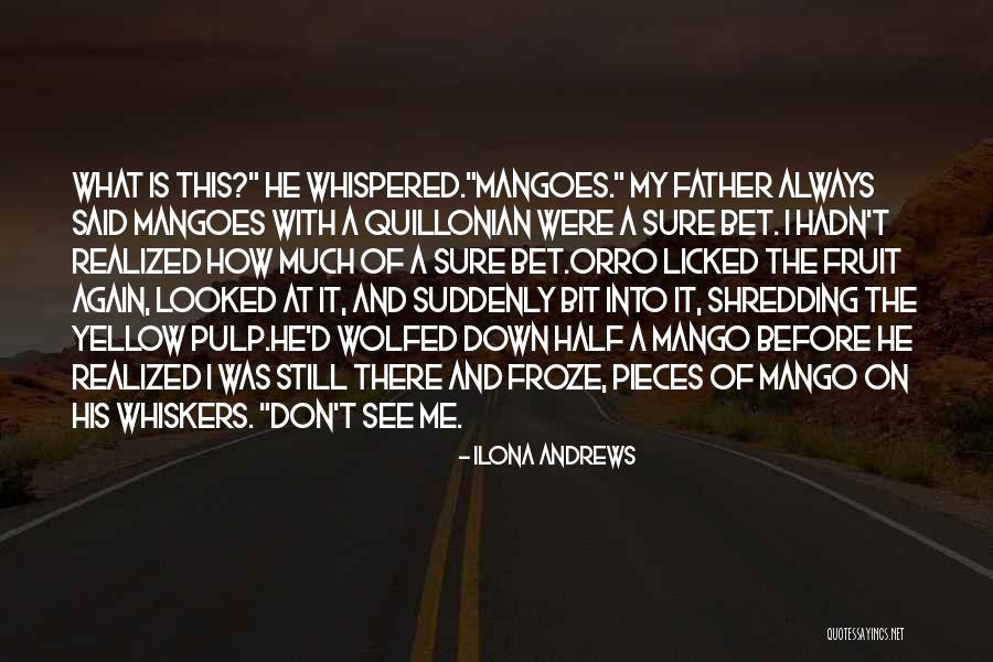 Orro Quotes By Ilona Andrews Orro Quotes By Ilona Andrews