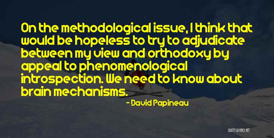 Orthodoxy Quotes By David Papineau Orthodoxy Quotes By David Papineau
