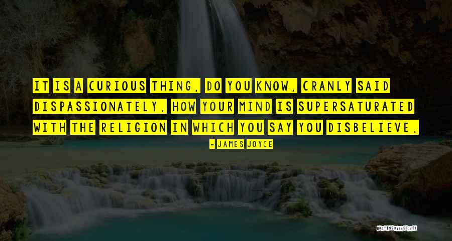 Orthodoxy Quotes By James Joyce Orthodoxy Quotes By James Joyce