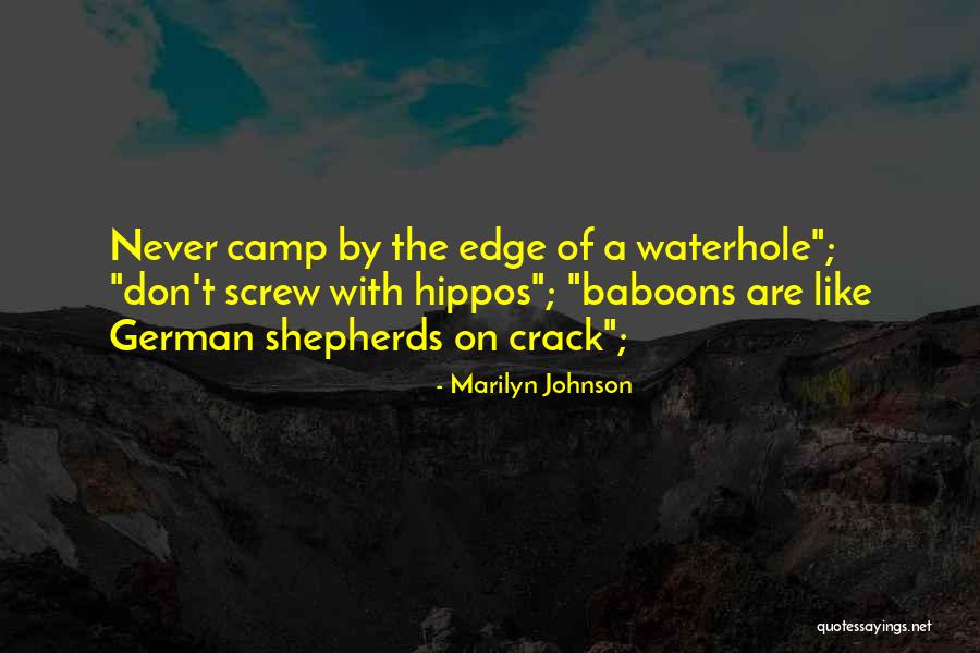 Ortquist Associates Quotes By Marilyn Johnson Ortquist Associates Quotes By Marilyn Johnson
