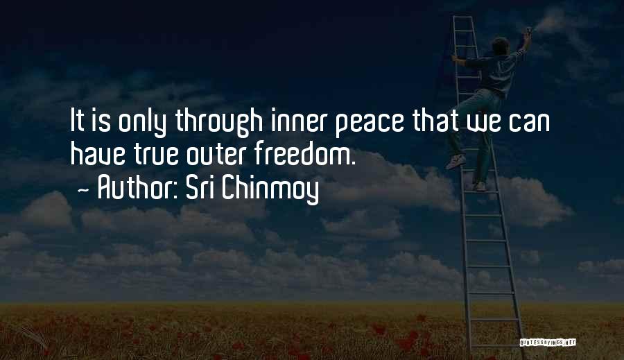 Ory And Crake Quotes By Sri Chinmoy