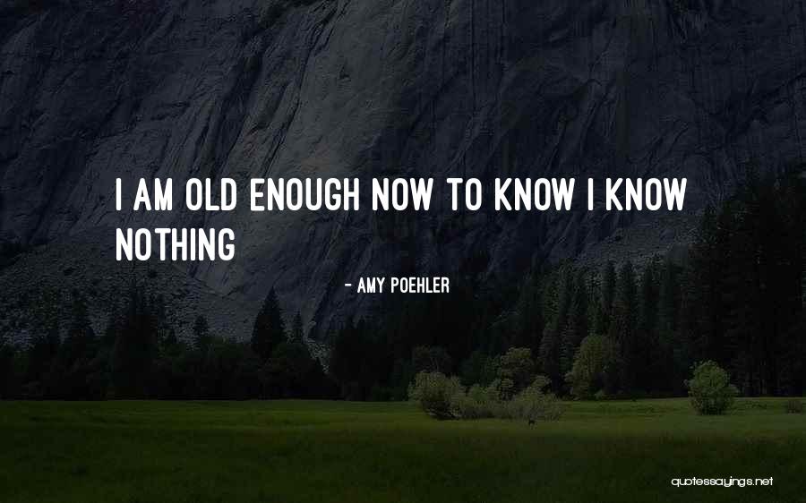 Oryantal Dans Quotes By Amy Poehler Oryantal Dans Quotes By Amy Poehler