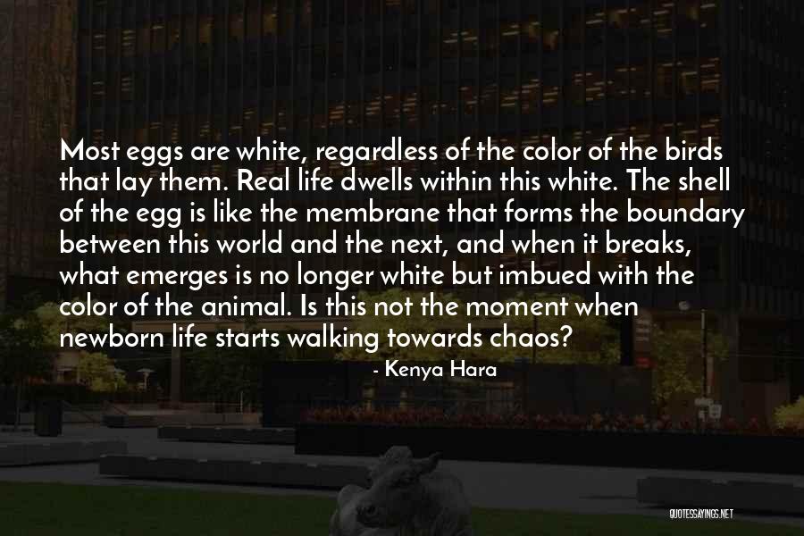 Oryoki Breakfast Quotes By Kenya Hara Oryoki Breakfast Quotes By Kenya Hara