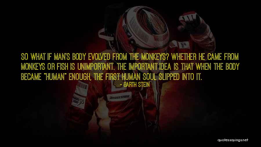 Oryoki Style Quotes By Garth Stein Oryoki Style Quotes By Garth Stein