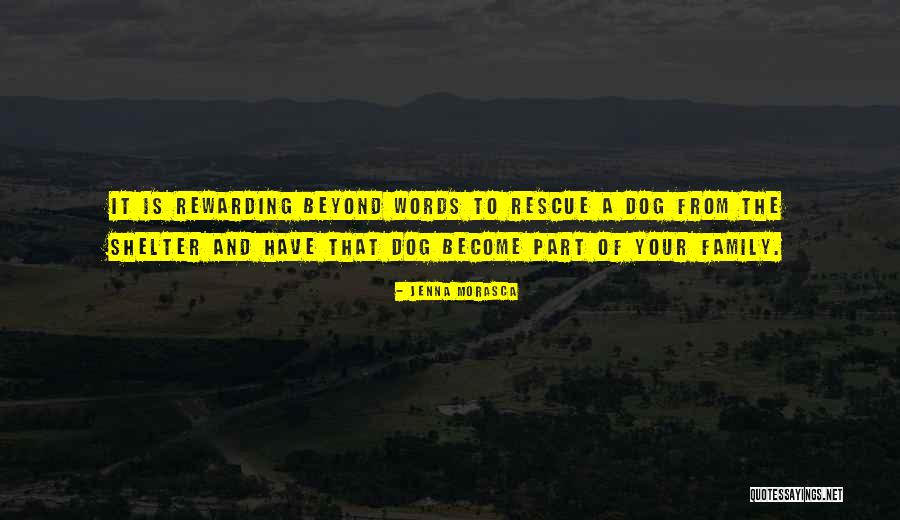 Osario Cortez Quotes By Jenna Morasca Osario Cortez Quotes By Jenna Morasca