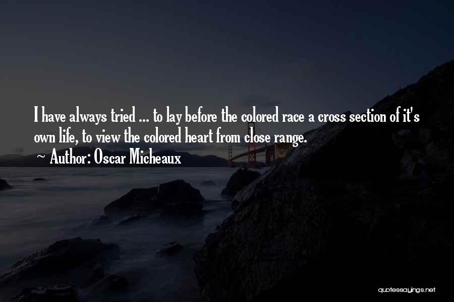 Oscar Micheaux Quotes 1047796