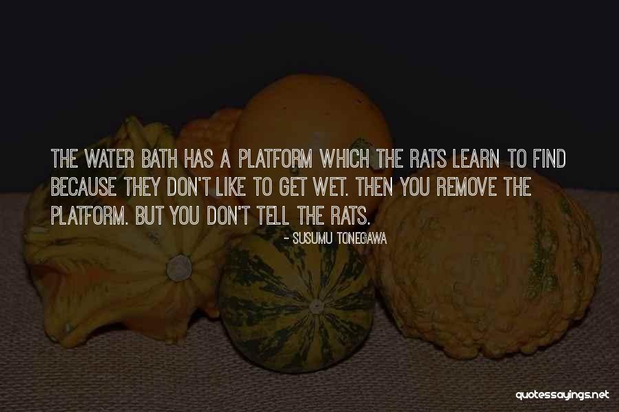 Osebnostna Quotes By Susumu Tonegawa Osebnostna Quotes By Susumu Tonegawa