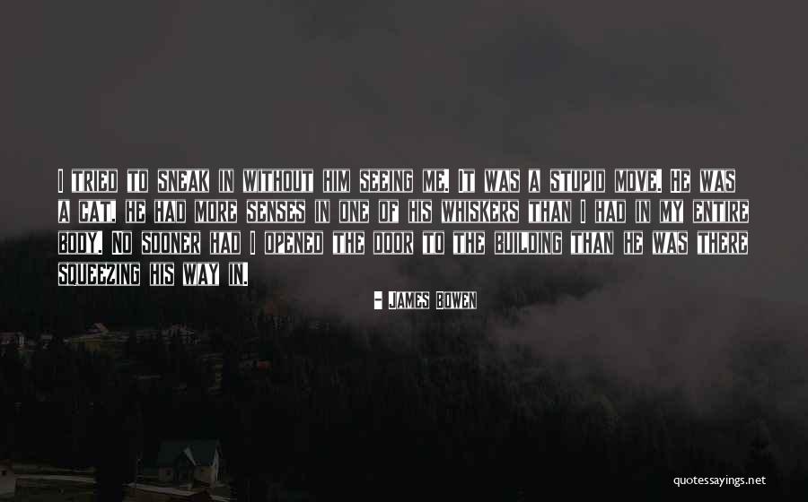 Osgiliath Lotr Quotes By James Bowen Osgiliath Lotr Quotes By James Bowen