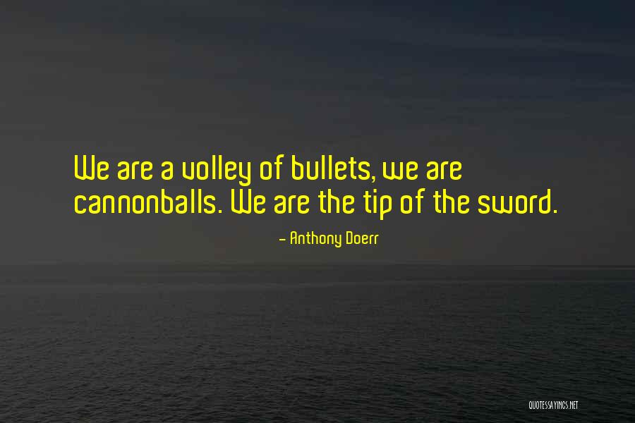 Oshas Bbp Standard Quotes By Anthony Doerr
