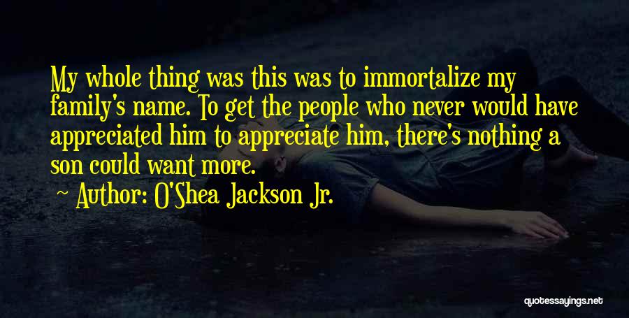 O'Shea Jackson Jr. Quotes 910160