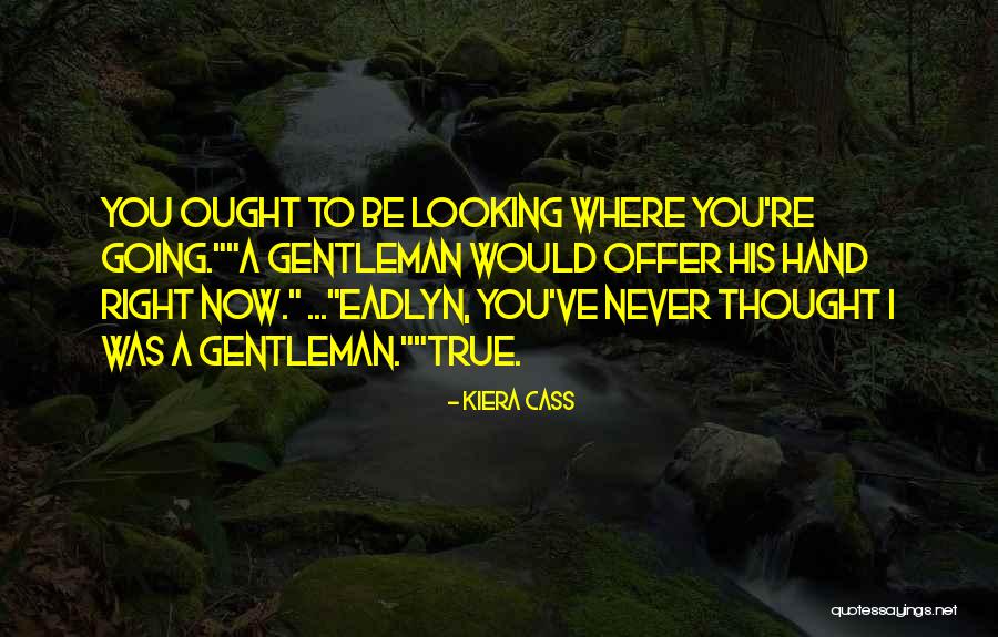 Oshiro Pediatrics Quotes By Kiera Cass Oshiro Pediatrics Quotes By Kiera Cass
