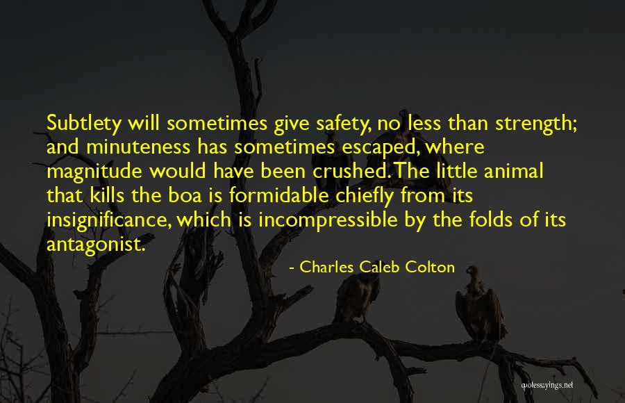 Osiers Furniture Quotes By Charles Caleb Colton Osiers Furniture Quotes By Charles Caleb Colton