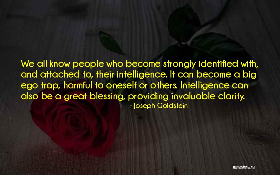 Osint Search Quotes By Joseph Goldstein Osint Search Quotes By Joseph Goldstein