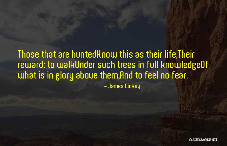 Osjetila Quotes By James Dickey Osjetila Quotes By James Dickey