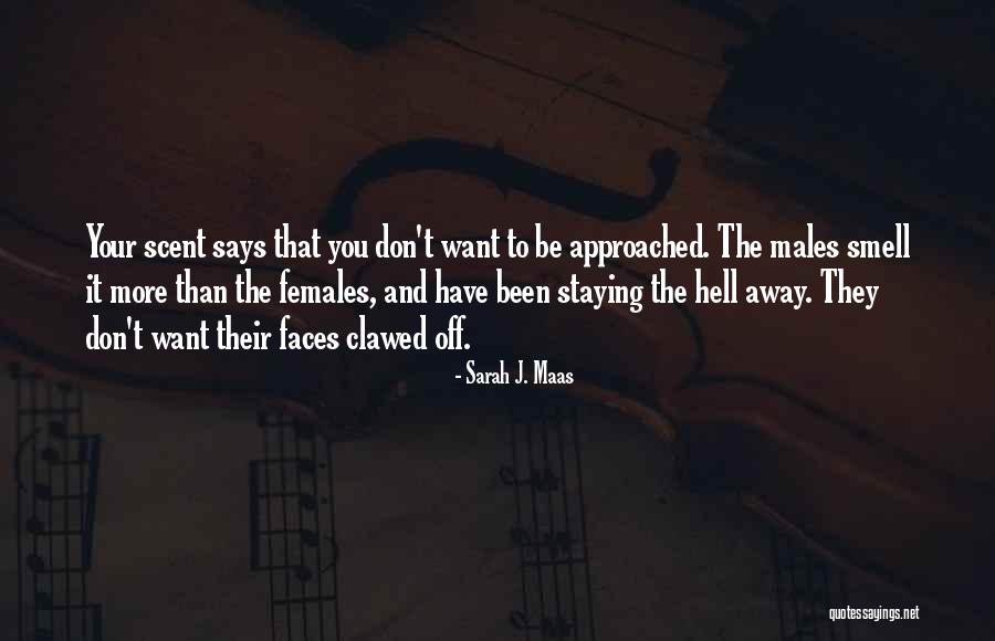 Osmolak Quotes By Sarah J. Maas Osmolak Quotes By Sarah J. Maas