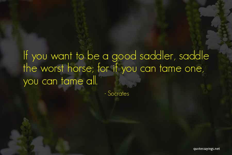 Osmunda Quotes By Socrates Osmunda Quotes By Socrates