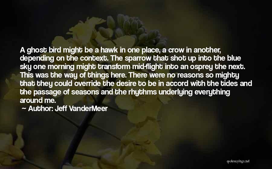 Osprey Quotes By Jeff VanderMeer