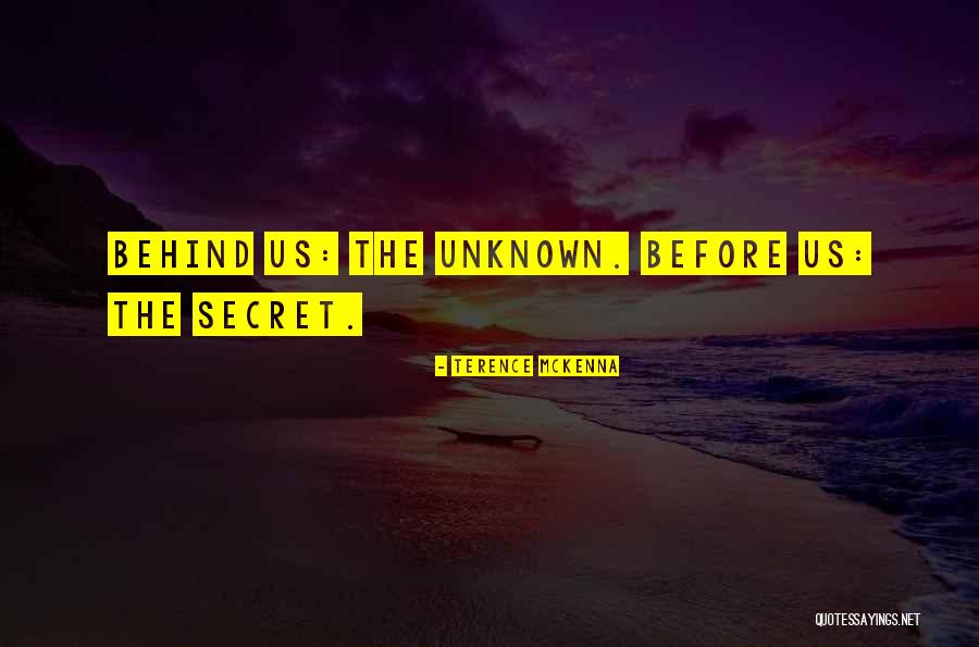 Osrin Dj Quotes By Terence McKenna Osrin Dj Quotes By Terence McKenna