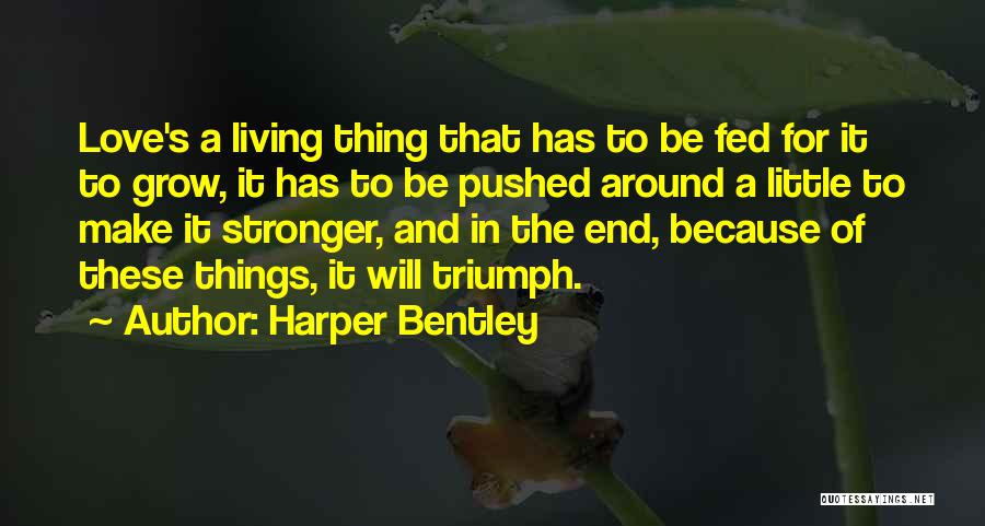 Ossama Bawardi Quotes By Harper Bentley