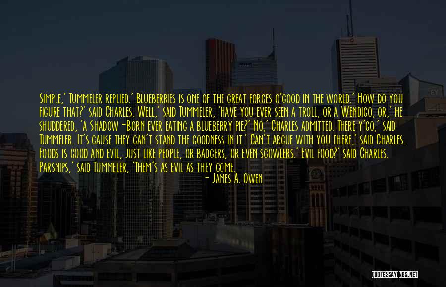 Osserman And Jenkins Quotes By James A. Owen Osserman And Jenkins Quotes By James A. Owen