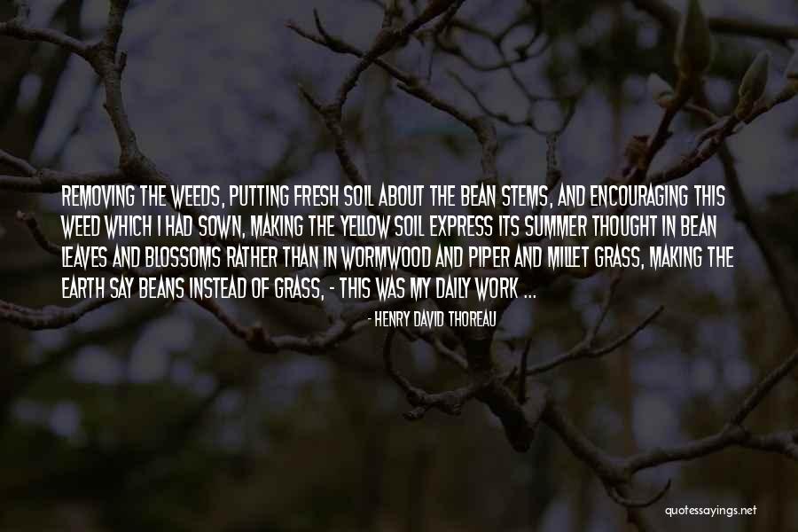 Osservare E Quotes By Henry David Thoreau Osservare E Quotes By Henry David Thoreau
