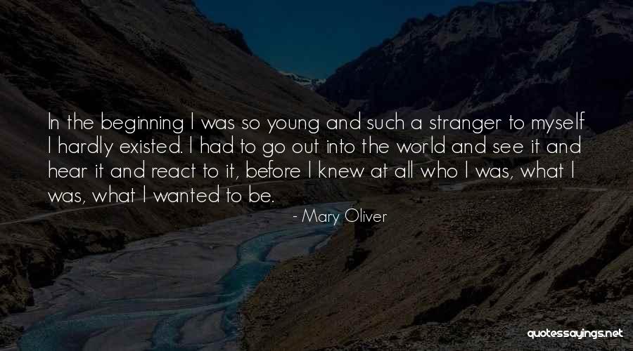 Ossuary At Verdun Quotes By Mary Oliver Ossuary At Verdun Quotes By Mary Oliver