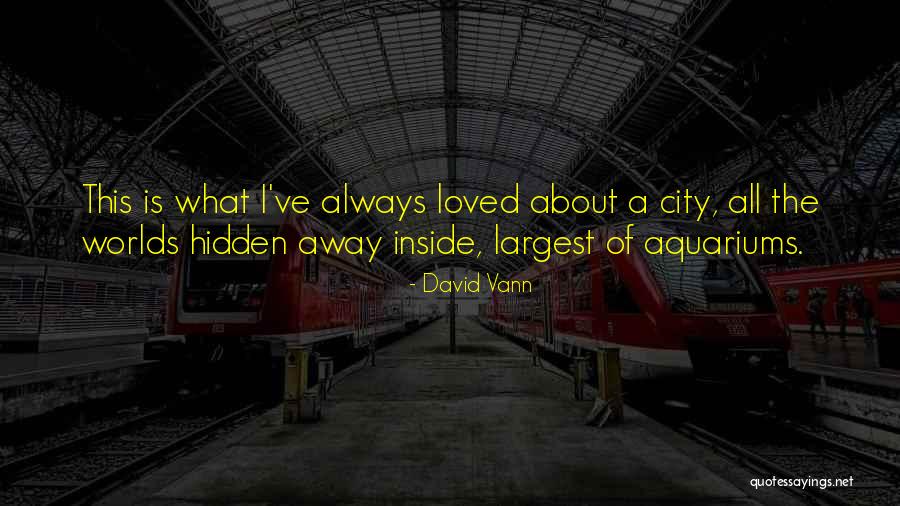 Ostensioni Quotes By David Vann Ostensioni Quotes By David Vann