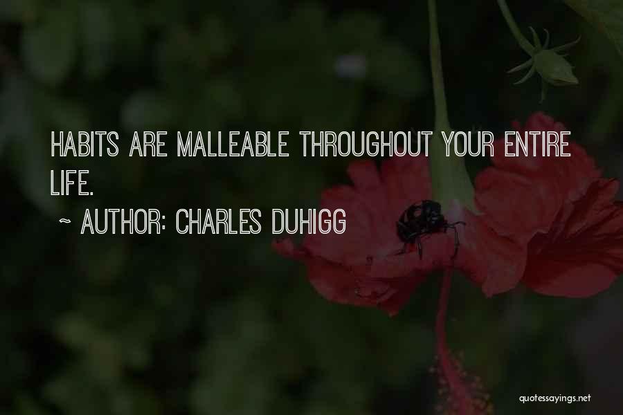 Ostensive Quotes By Charles Duhigg