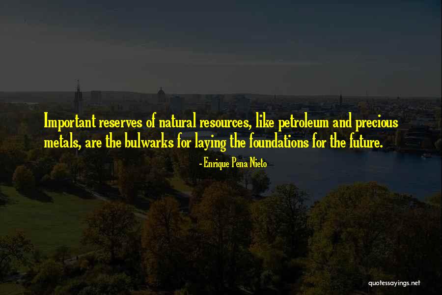Osteomyelitis Bone Quotes By Enrique Pena Nieto Osteomyelitis Bone Quotes By Enrique Pena Nieto