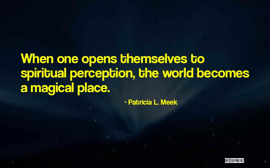 Ostergard Gynecology Quotes By Patricia L. Meek