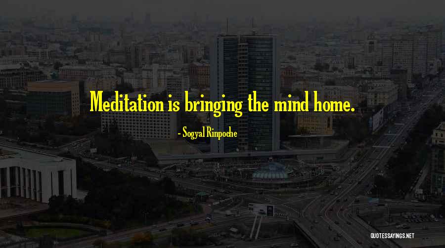 Ostermeyer Road Quotes By Sogyal Rinpoche Ostermeyer Road Quotes By Sogyal Rinpoche