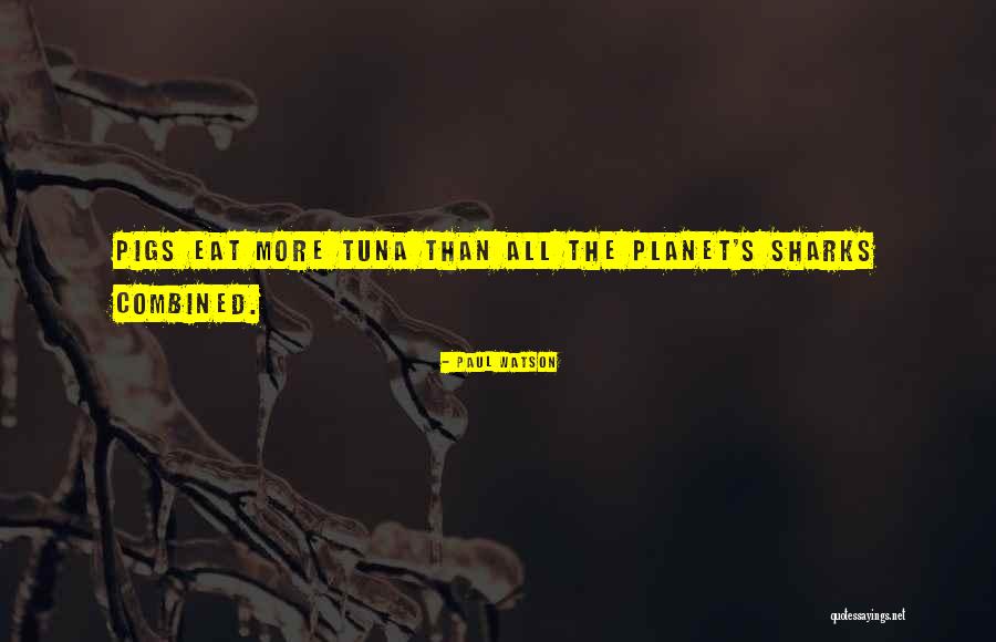 Ostern 2021 Quotes By Paul Watson Ostern 2021 Quotes By Paul Watson