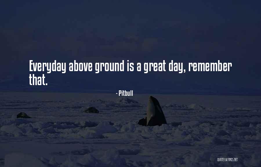 Osthoff Quotes By Pitbull Osthoff Quotes By Pitbull