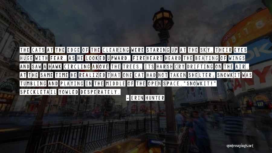Ostos Brownsville Quotes By Erin Hunter Ostos Brownsville Quotes By Erin Hunter
