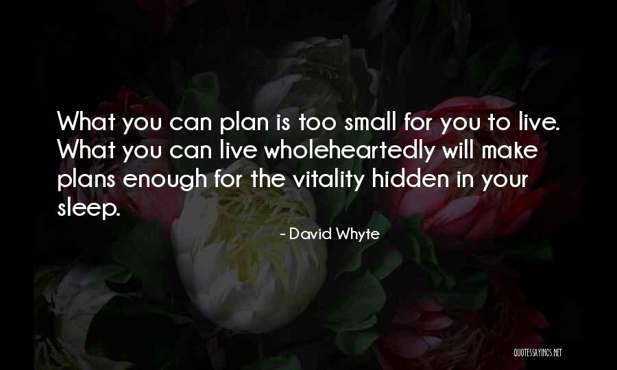 Ostracismo Social Quotes By David Whyte