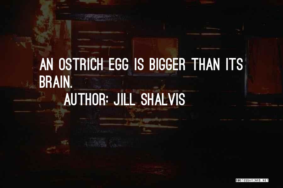 Ostrich Quotes By Jill Shalvis