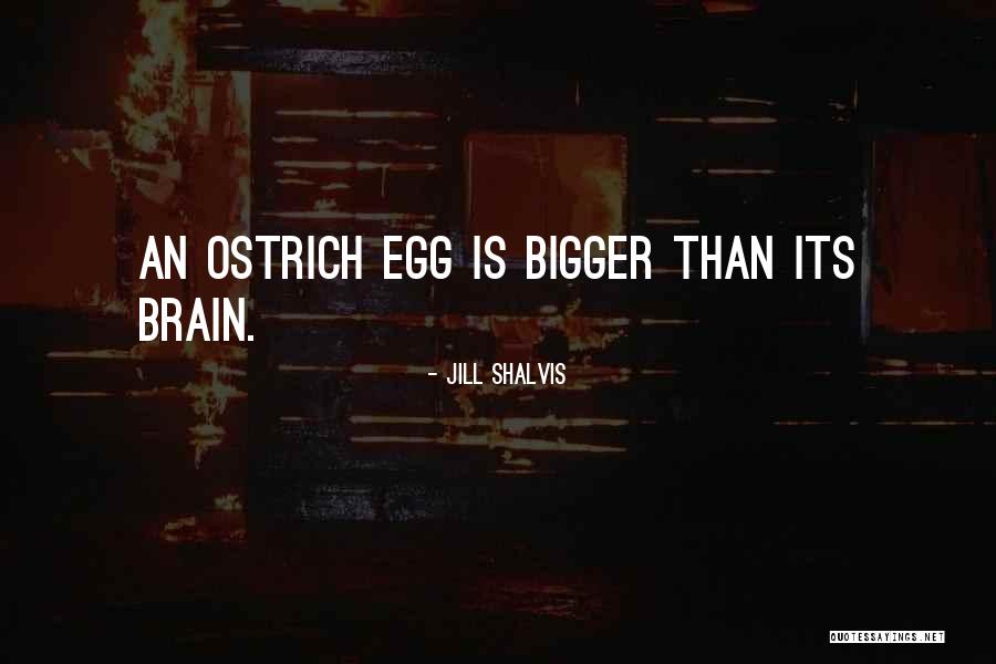 Ostrich Quotes By Jill Shalvis