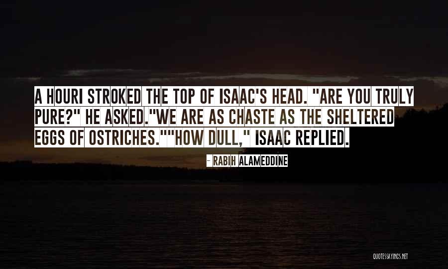 Ostriches Head Quotes By Rabih Alameddine Ostriches Head Quotes By Rabih Alameddine