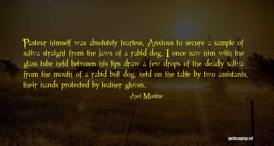 Ostrower Quotes By Axel Munthe Ostrower Quotes By Axel Munthe