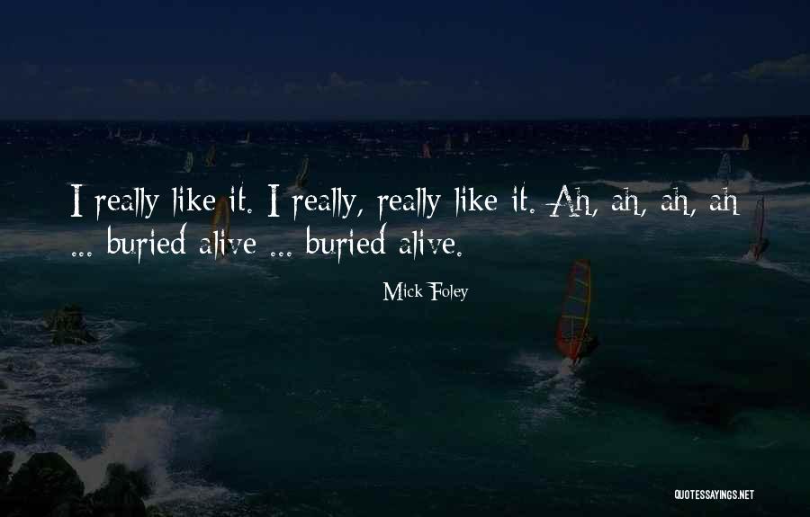 Osvaldo Sabatini Quotes By Mick Foley Osvaldo Sabatini Quotes By Mick Foley