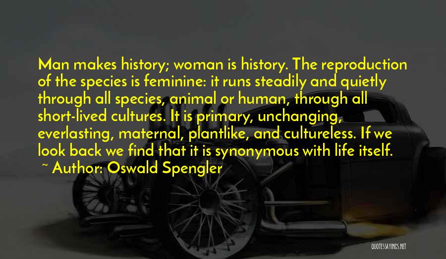 Oswald Spengler Quotes 506147