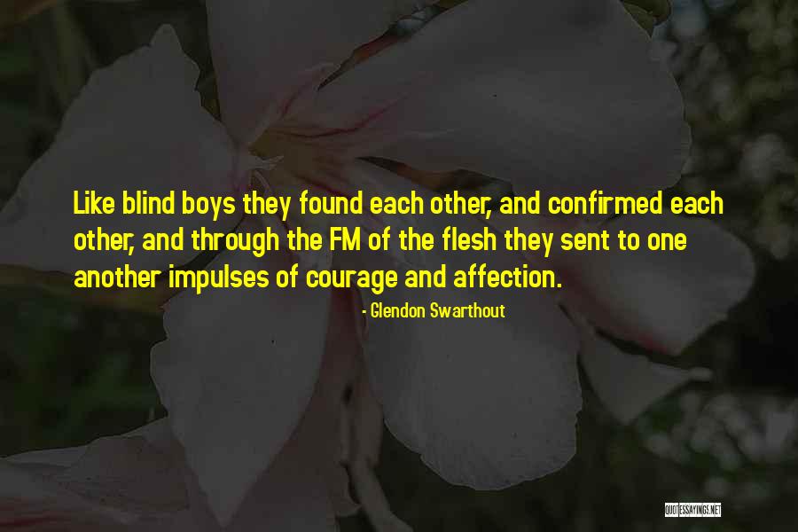 Other Boys Quotes By Glendon Swarthout Other Boys Quotes By Glendon Swarthout