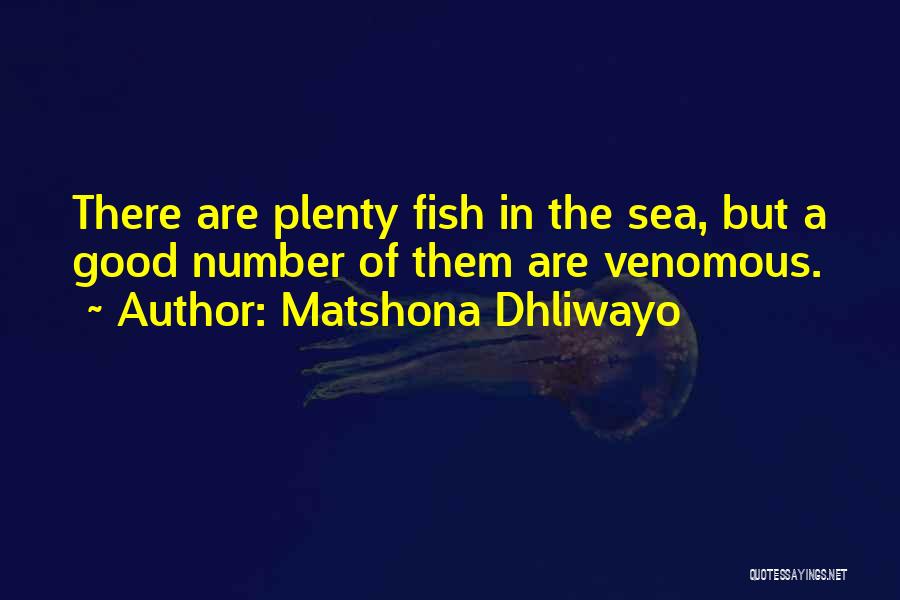 Other Fish In The Sea Quotes By Matshona Dhliwayo