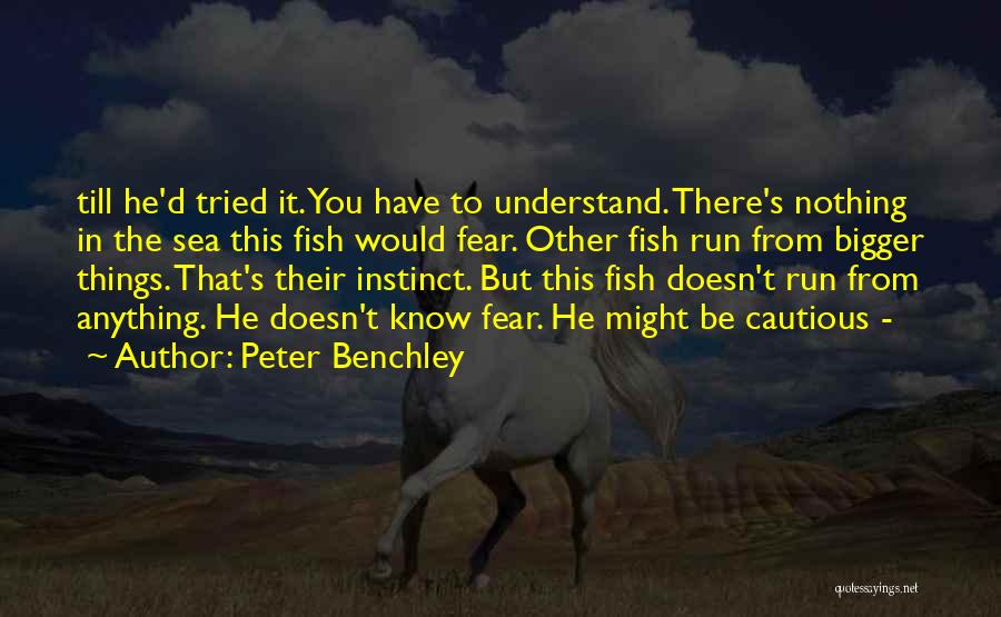 Other Fish In The Sea Quotes By Peter Benchley