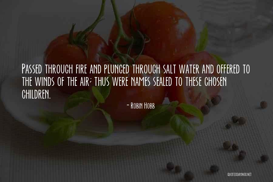 Other Names For Air Quotes By Robin Hobb Other Names For Air Quotes By Robin Hobb