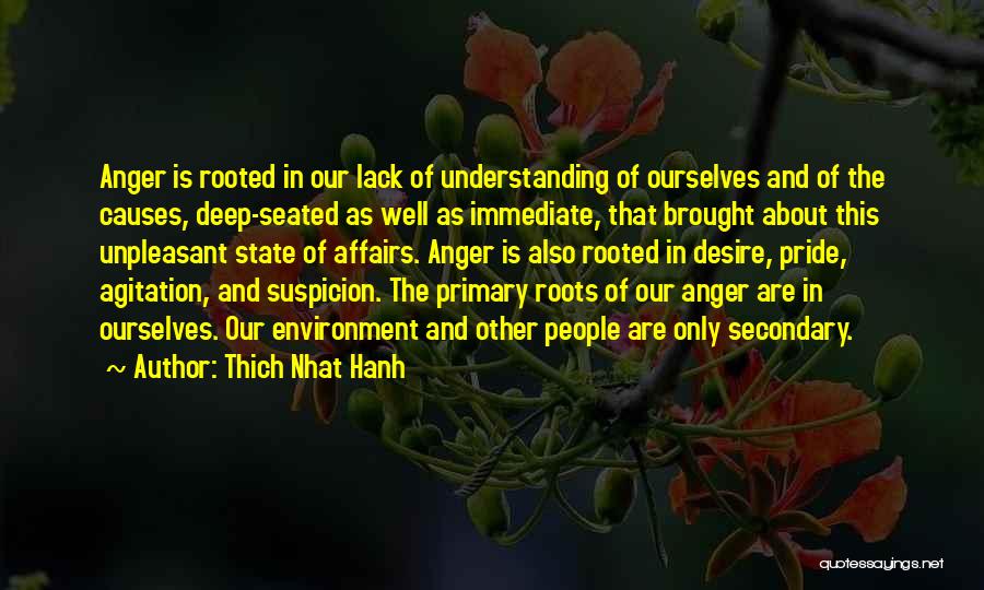 Other People's Anger Quotes By Thich Nhat Hanh