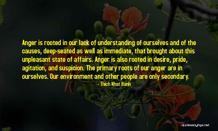 Other People's Anger Quotes By Thich Nhat Hanh