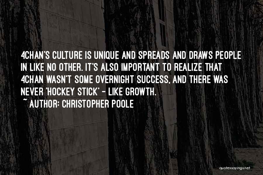 Other People's Success Quotes By Christopher Poole