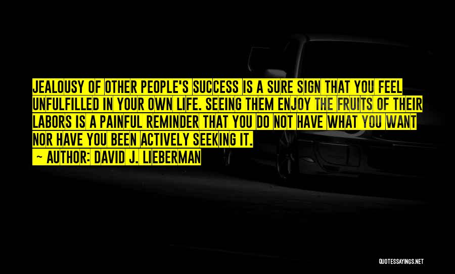 Other People's Success Quotes By David J. Lieberman